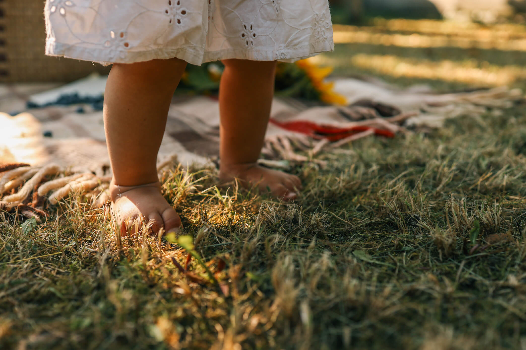 iStock-2165269444 (1)